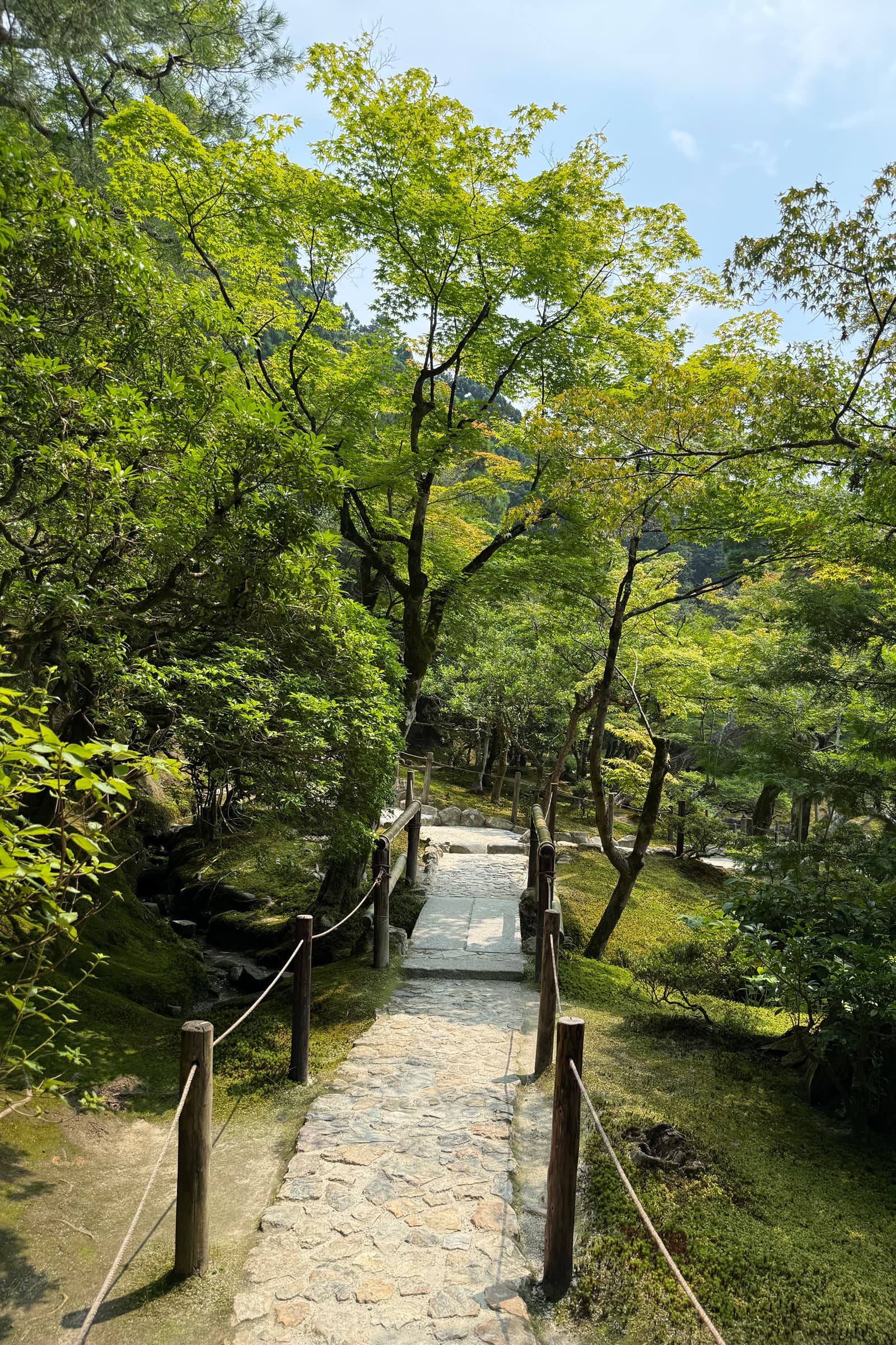 {caption: Another (not so) hidden gem: Philophers path. One of my favorite things about this city was how accessible the parks were.}