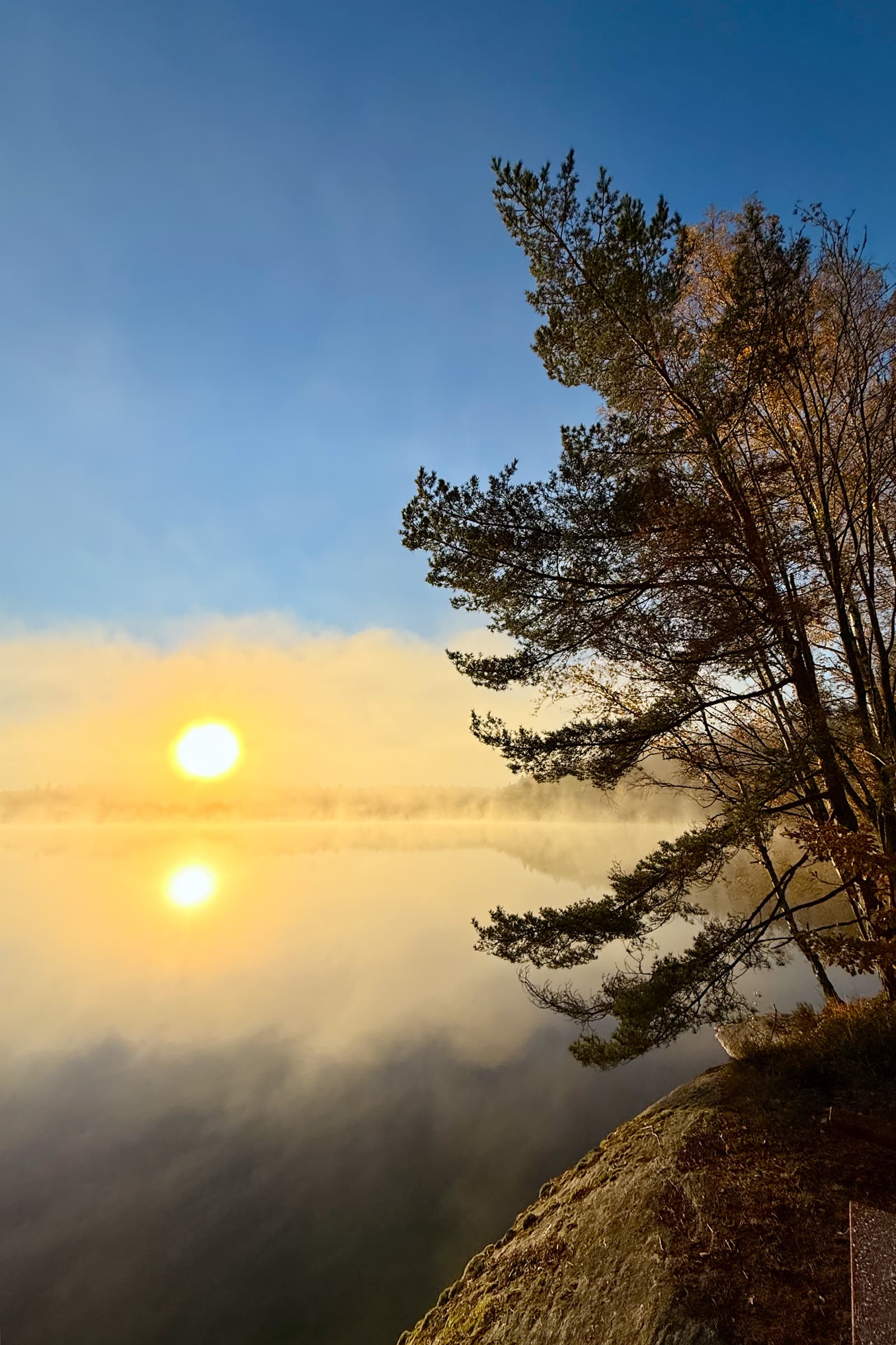 Favorite time of the year.